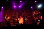 The Roots