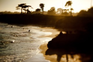 Nature02