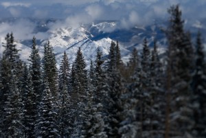 Nature07