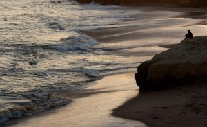 Nature13