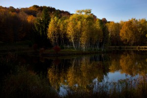 Nature15