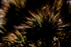 Nature16