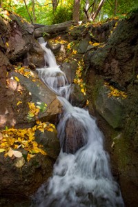 Nature20