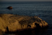 travel_24