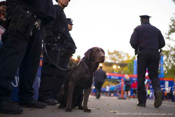 2013 New York City Marathon